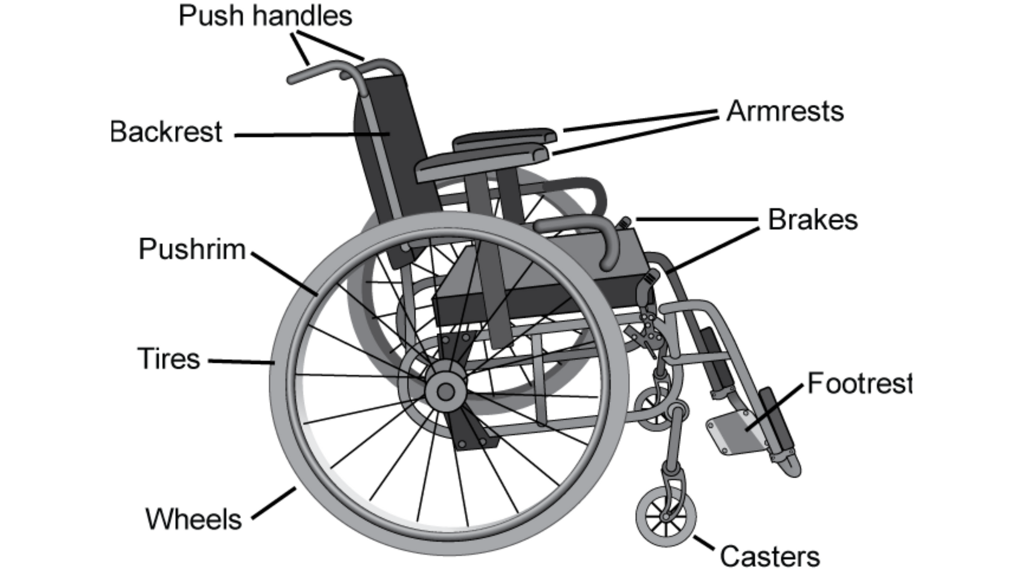 Understanding Wheelchairs: Types and Their Unique Benefits